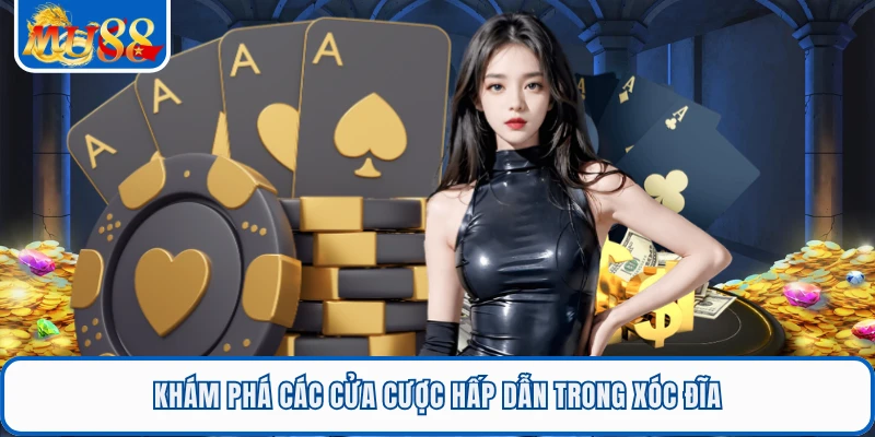 Khám phá các cửa cược hấp dẫn trong xóc đĩa